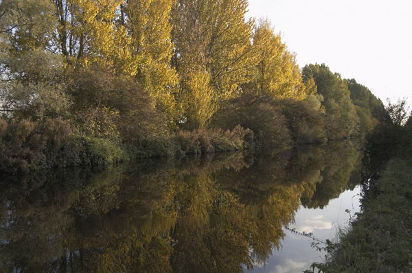 Cheshunt (C) 2004-5, Peter Marshall