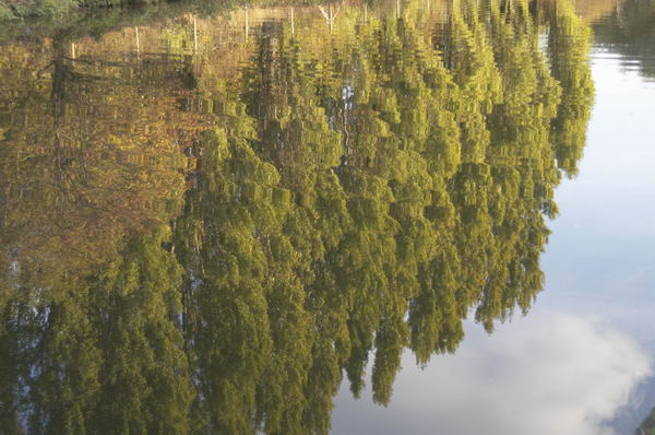 Cheshunt (C) 2004-5, Peter Marshall