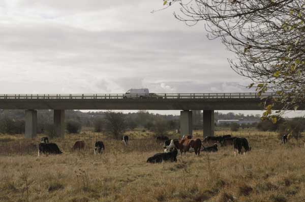 Hertford, (C) 2003-5, Peter Marshall