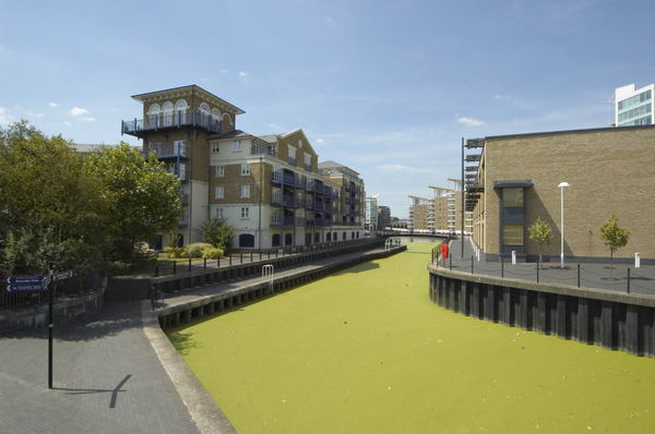 Limehouse: (C) Peter Marshall, 2003-2005