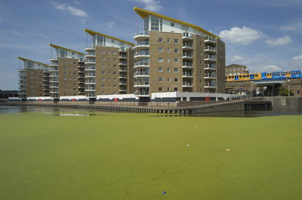 Limehouse: (C) Peter Marshall, 2003-2005