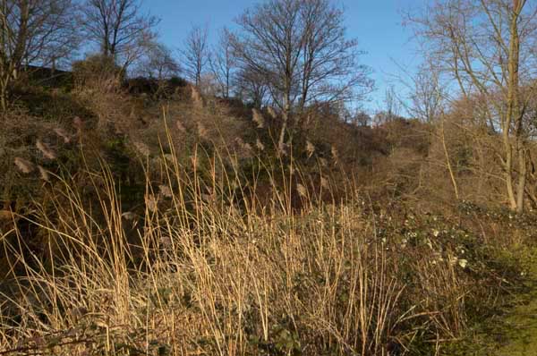 Stratford: (C) Peter Marshall, 2003-2005