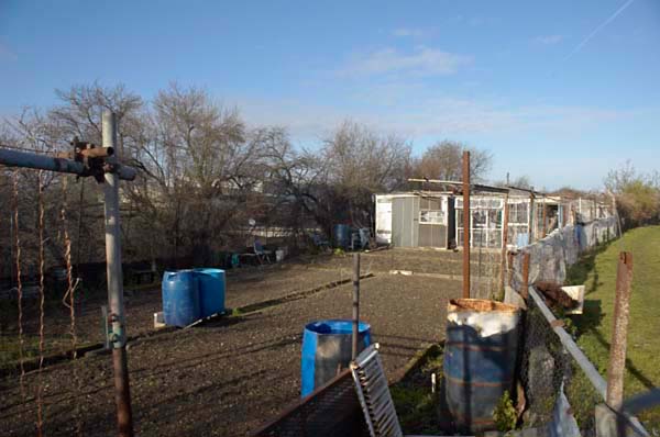 Stratford: (C) Peter Marshall, 2003-2005