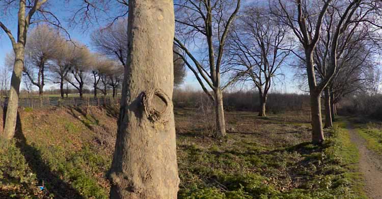 Stratford: (C) Peter Marshall, 2003-2005