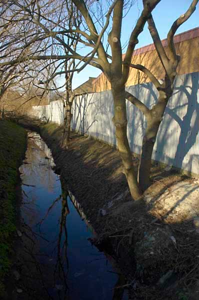 Leyton: (C) Peter Marshall, 2003-2005