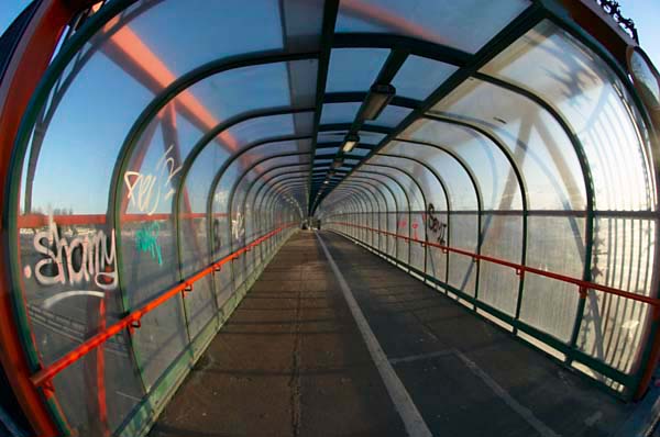 Leyton: (C) Peter Marshall, 2003-2005