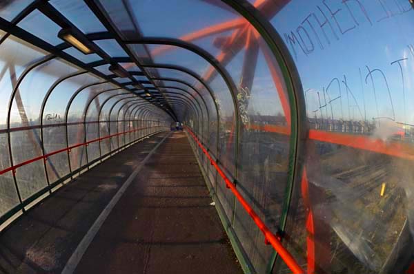 Leyton: (C) Peter Marshall, 2003-2005