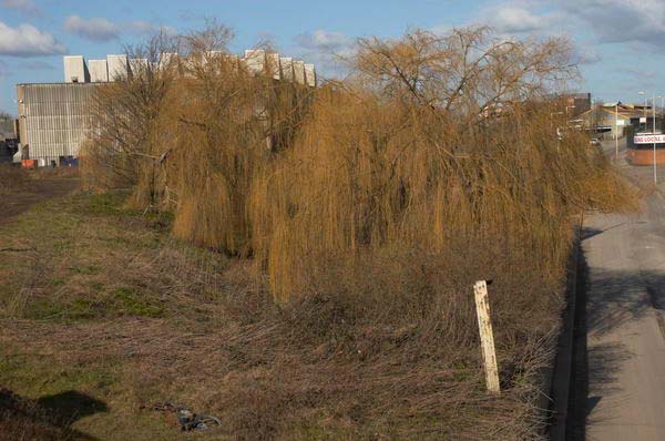 Stratford: (C) Peter Marshall, 2003-2005