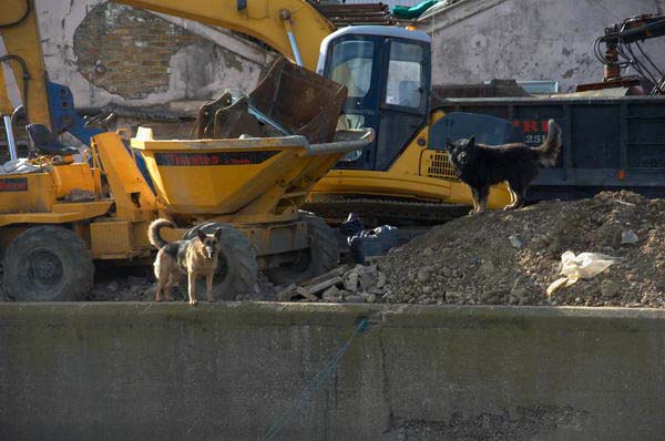 Stratford: (C) Peter Marshall, 2003-2005