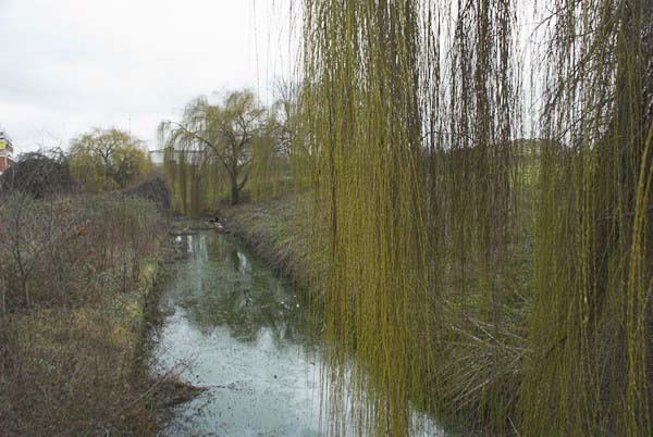 Stratford Marsh, London. (C) 2006, Peter Marshall