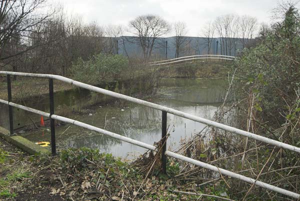 Stratford Marsh, London. (C) 2006, Peter Marshall