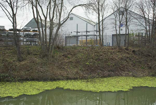 Stratford Marsh, London. (C) 2006, Peter Marshall