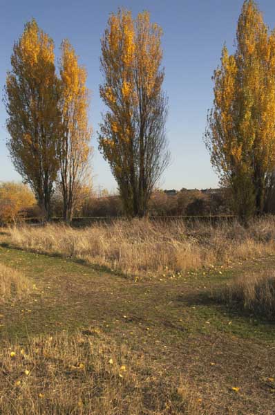 Tottenham, (C) 2003-5, Peter Marshall